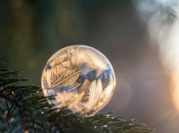 Gosselin to star in new reality show, Kate Plus Date Ups