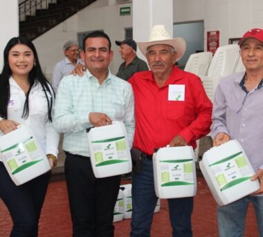 Buscan regenerar suelos agrícolas en Navolato con fertilizante orgánico