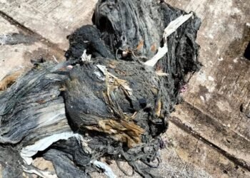 Lo que tiras al baño hoy puede inundar Culiacán mañana