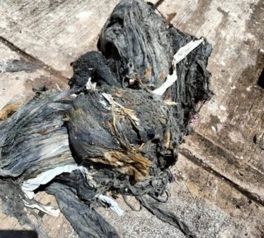 Lo que tiras al baño hoy puede inundar Culiacán mañana