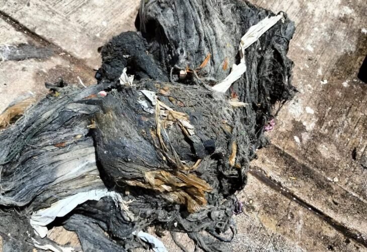 Lo que tiras al baño hoy puede inundar Culiacán mañana