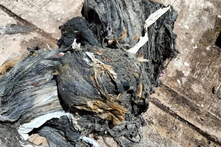 Lo que tiras al baño hoy puede inundar Culiacán mañana