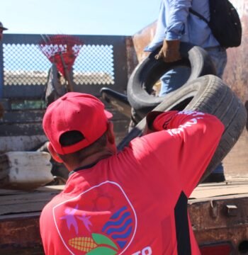 Van contra criaderos del dengue en Navolato